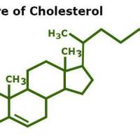 Taking Charge of My Health in&nbsp;Perimenopause